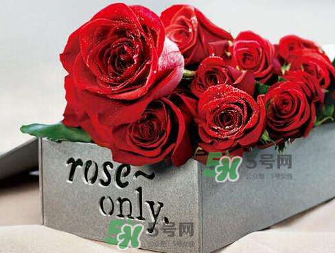 roseonly怎么看真假？roseonly真假對(duì)比