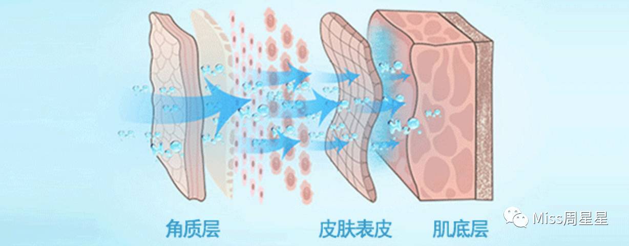 蒸臉器的最佳使用方法 蒸臉器哪個牌子好