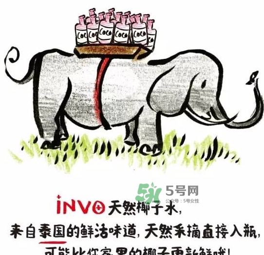 invo椰子水多少錢？invo椰子水好喝嗎？