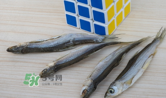 刁子魚是發(fā)物嗎？刁子魚是不是發(fā)物