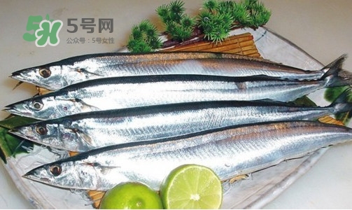 沙丁魚(yú)和秋刀魚(yú)有什么不一樣？秋刀魚(yú)和沙丁魚(yú)的區(qū)別