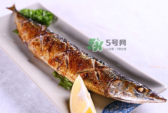 秋刀魚怎么處理？秋刀魚怎么挑選