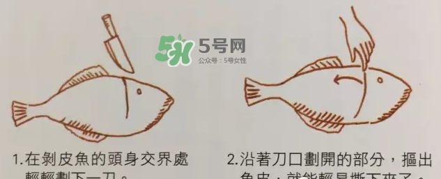 剝皮魚為什么要?jiǎng)兤ぃ縿兤~的皮有毒嗎？