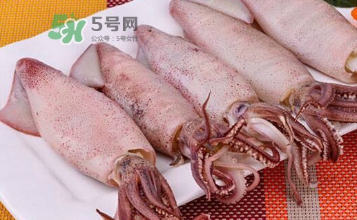 海兔子是小魷魚嗎？海兔子和魷魚的區(qū)別