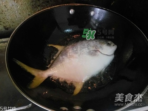 金鯧魚是海魚嗎？金鯧魚的刺多嗎？