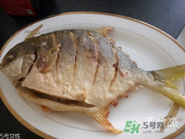 金鯧魚是海魚嗎？金鯧魚的刺多嗎？