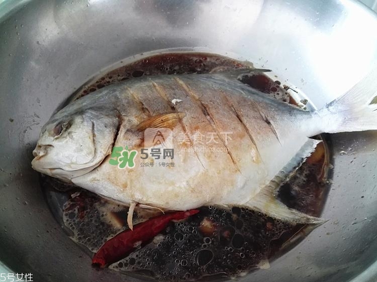 金鯧魚的營養(yǎng)價(jià)值 金鯧魚的功效作用