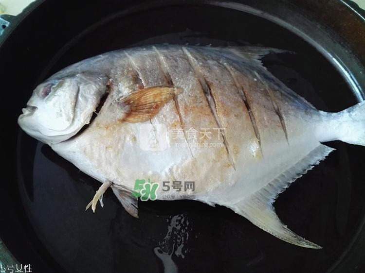 金鯧魚的營養(yǎng)價(jià)值 金鯧魚的功效作用