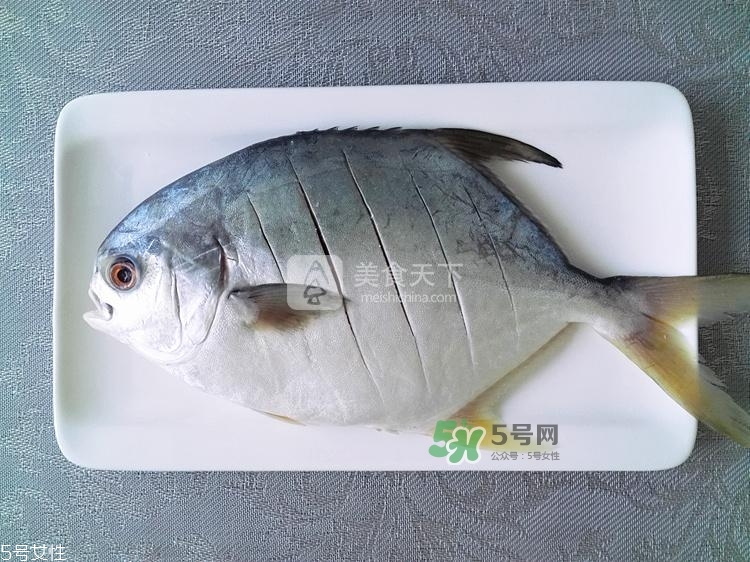 金鯧魚的營養(yǎng)價(jià)值 金鯧魚的功效作用