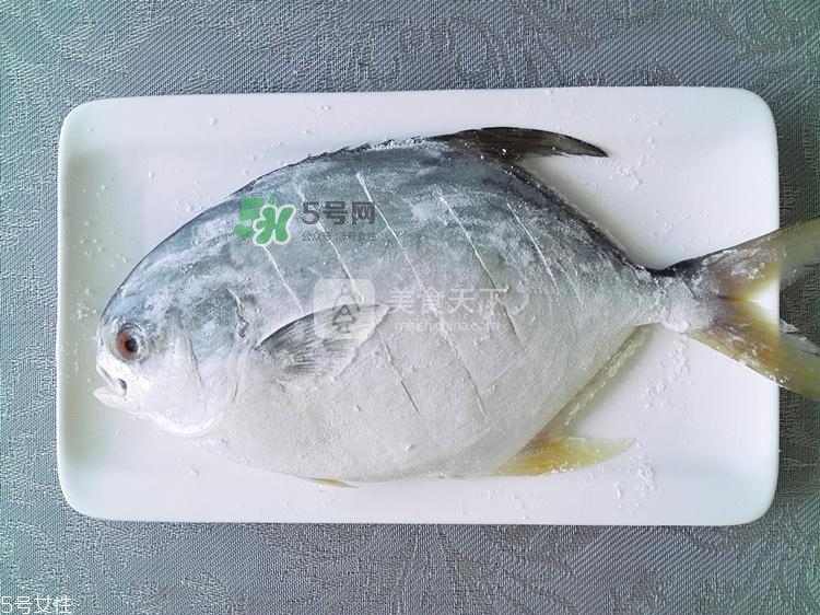 金鯧魚的營養(yǎng)價(jià)值 金鯧魚的功效作用