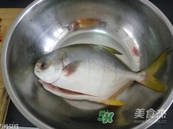 金鯧魚是海魚嗎？金鯧魚的刺多嗎？