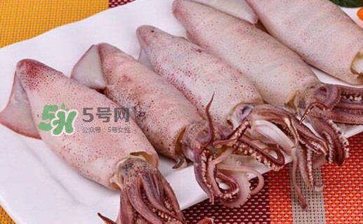 筆管魚怎么做好吃？筆管魚有什么營(yíng)養(yǎng)