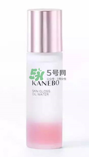 KANEBO嘉娜寶SKIN GLOSS OIL精華水價(jià)格_日本價(jià)格