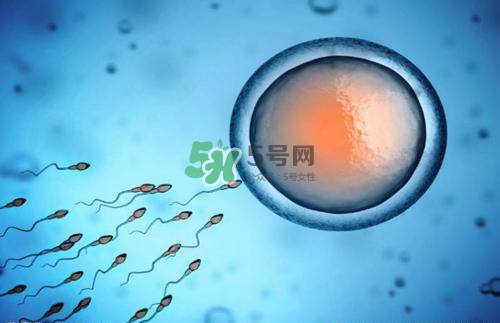 精子在女性體內(nèi)可以存活多久？男性的精子會(huì)枯竭嗎？