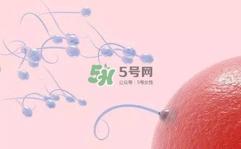 精子在女性體內(nèi)可以存活多久？男性的精子會(huì)枯竭嗎？