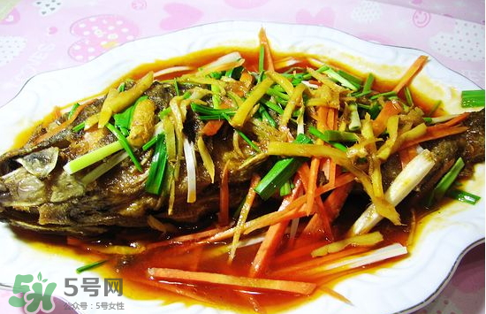 黑魚(yú)能愈合傷口嗎？黑魚(yú)為什么對(duì)傷口愈合？