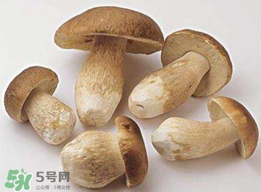 牛肝菌要泡發(fā)多久？牛肝菌怎么清洗