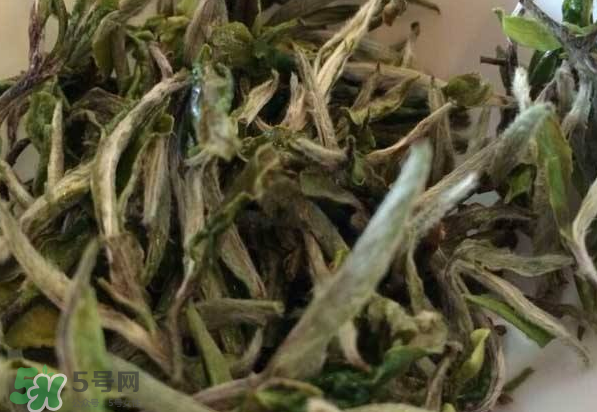 白茶需要洗茶嗎？白茶是洗還是不洗？