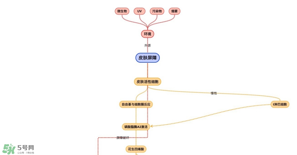 面部皮膚炎癥怎么消炎 皮膚炎癥管理