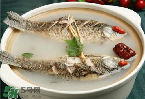 鯽魚湯下奶嗎？鯽魚湯的功效與作用