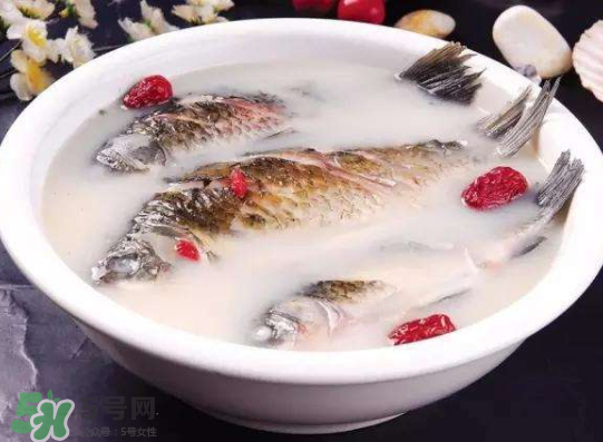 鯽魚湯里可以放什么菜最好？鯽魚燉湯放什么菜？