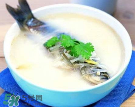 鯽魚湯可以放牛奶嗎？牛奶鯽魚湯的做法