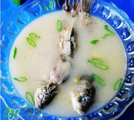 鯽魚湯可以放牛奶嗎？牛奶鯽魚湯的做法