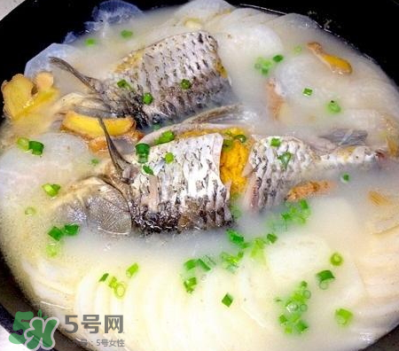 鯽魚湯可以放牛奶嗎？牛奶鯽魚湯的做法