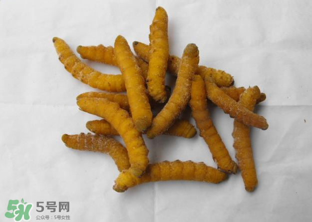 豆蟲多少錢一斤市場(chǎng)價(jià)格2022 豆蟲可以做什么菜