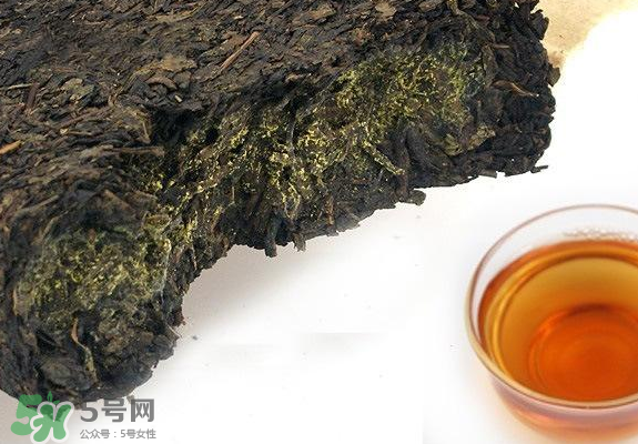 茯茶是熱性還是涼性？茯茶是不是放越久越好？