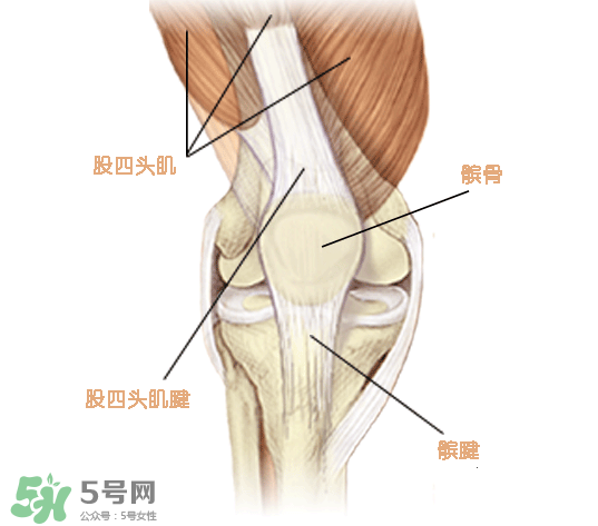 風(fēng)濕可以吃螃蟹嗎？得了風(fēng)濕能吃螃蟹嗎？