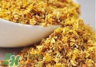 桂花茶怎么泡？桂花茶泡水喝的禁忌 