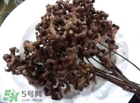 拐棗可以嫁接嗎？拐棗是哪里的特產(chǎn)