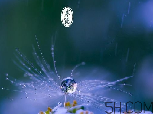 2017年寒露會(huì)下雨嗎？寒露下雨好嗎？