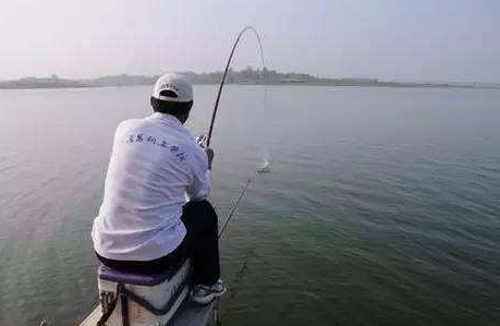 大蒜泡酒能釣魚嗎？大蒜泡酒釣魚的方法