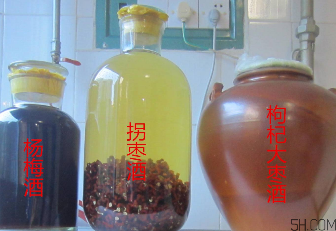 拐棗能泡酒嗎？拐棗能和蜂糖一起泡酒嗎？