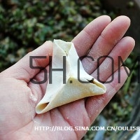 餃子和面用熱水還是冷水？餃子和面要醒多長(zhǎng)時(shí)間？