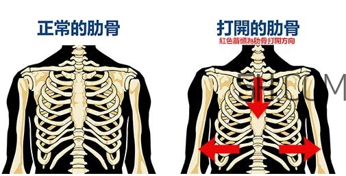 小腹突出是怎么回事_和肋骨有關嗎