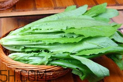 西紅柿和油麥菜能一起吃嗎？油麥菜能包餃子嗎