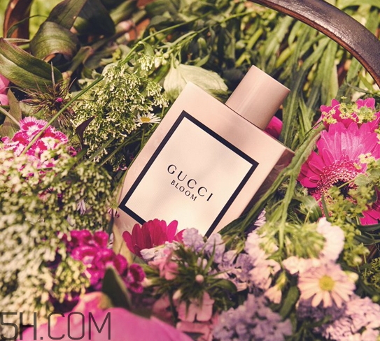 gucci bloom香水好聞嗎？gucci bloom香水香評(píng)