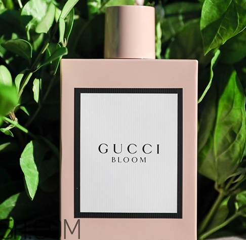 gucci bloom香水多少錢？gucci bloom香水專柜價格