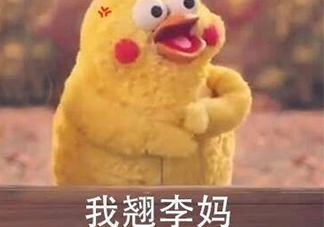 翹李媽什么意思？我翹李媽表情包