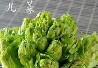 青菜頭是不是兒菜？大頭菜和兒菜的區(qū)別