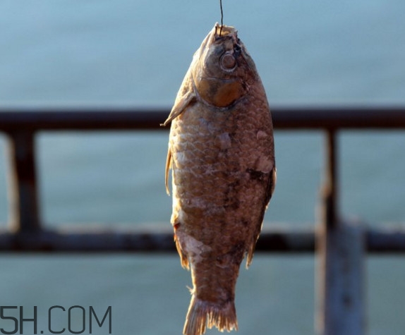 咸魚什么人不能吃？怎樣去除咸魚的咸