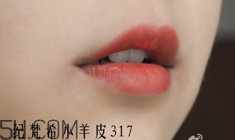 紀(jì)梵希304是西柚色嗎？紀(jì)梵希小羊皮304和317哪個(gè)好看？