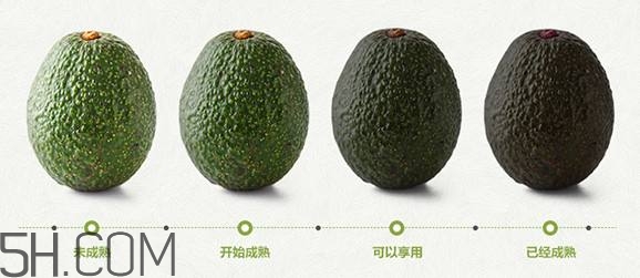 生牛油果可以放冰箱嗎？生牛油果怎么保存？