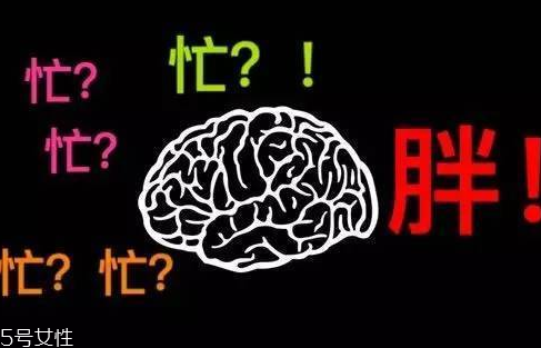 久坐不動上班族如何減肥？越努力工作的人越容易發(fā)胖