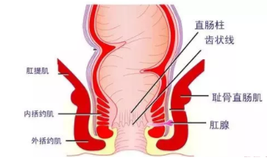 肛瘺非手術(shù)治療才可以嗎？手術(shù)是治療的關(guān)鍵途徑