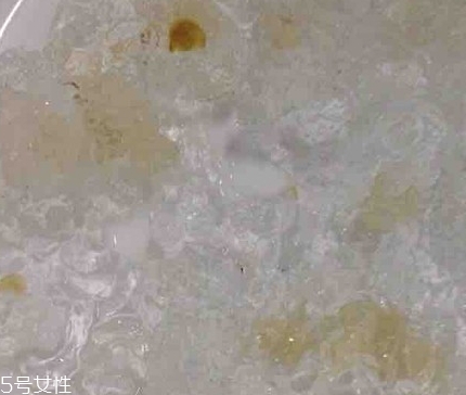 雪燕和桃膠能一起燉嗎？