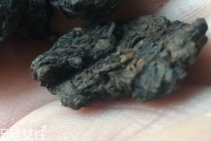 老茶頭怎么泡？泡錯了就不好喝了